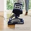 Shark Upright Vacuum, Navigator Lift-Away Deluxe with Large Dust Cup Capacity, HEPA Filter, Swivel Steering, Upholstery Tool & Crevice Tool, Blue, NV360