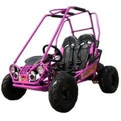 Trailmaster Mini XRX+ 2- Seater GO-KART EAGLE SERIES 163cc Blue