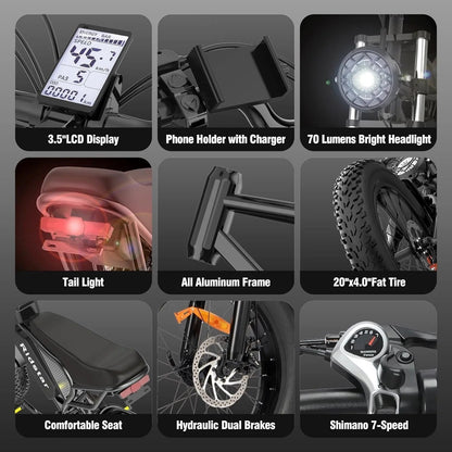 Ridstar Q20 48V Fat Tire Electric Bike with LCD Meter,