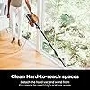 Shark Rocket Ultra-Light Corded Bagless Vacuum for Carpet and Hard Floor Cleaning with Swivel Steering (HV301), Gray/Orange