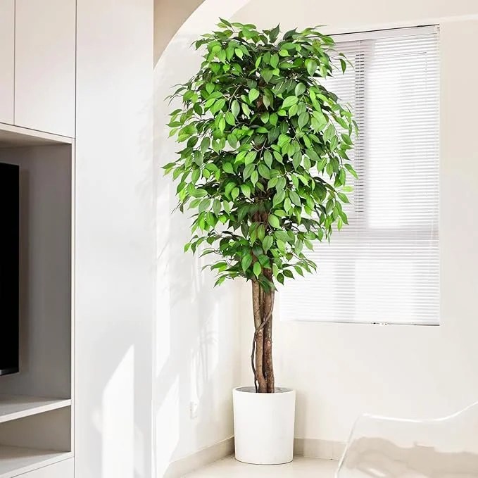 7ft Large Ficus Artificial Trees with Natural Curved Trunks, 84″ Tall Lush Faux Tree for Home Decor Indoor, Green Lifelike Fake Ficus Tree Artificial Plants in Pot（Set of 2）