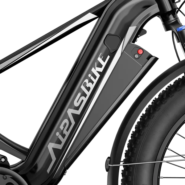 Aipas M2 Xterrain Ebike Aipas-M2-black Basket