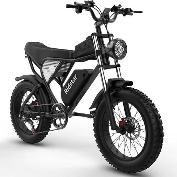 Ridstar Q20 48V Fat Tire Electric Bike with LCD Meter,