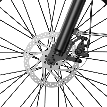 Aipas M2 Xterrain Ebike Aipas-M2-black Baskets.