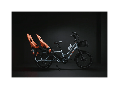 Rad Power Bikes RadWagon 5 Electrics Cargo Bikes