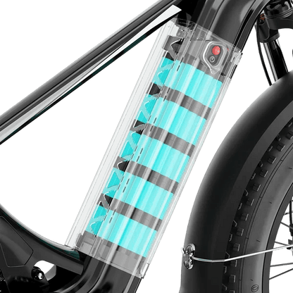 Aipas M2 Xterrain Ebike Aipas-M2-black Baskets.