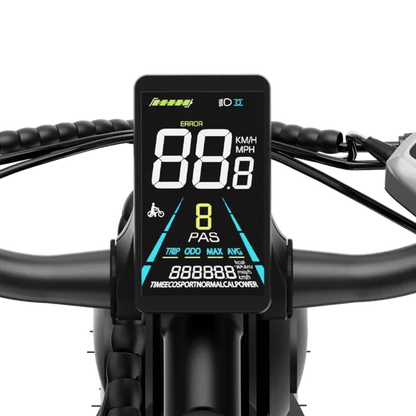Aipas M2 Xterrain Ebike Aipas-M2-black Baskets.