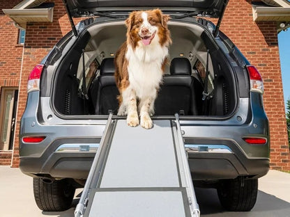PetSafe Happy Ride Compact Telescoping Dog Ramp – Portable Pet Ramp for Cars, Trucks & SUVs with Adjustable Sizing – Non-Slip Design – Lightweight Pet Mobility Assistance – Extra Long