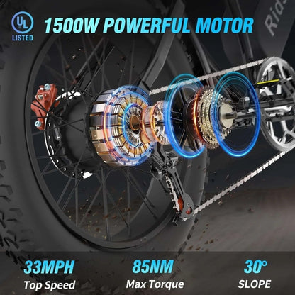 Ridstar Q20 48V Fat Tire Electric Bike with LCD Meter,