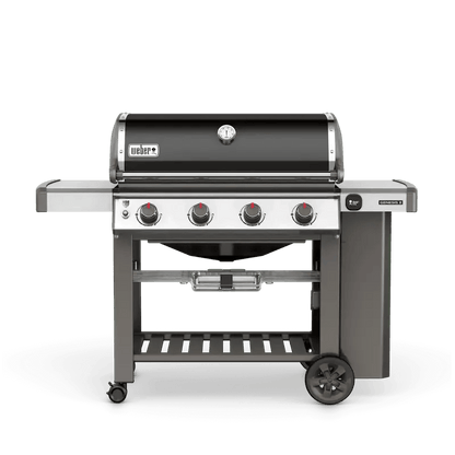Weber Genesis II E-410 NGs